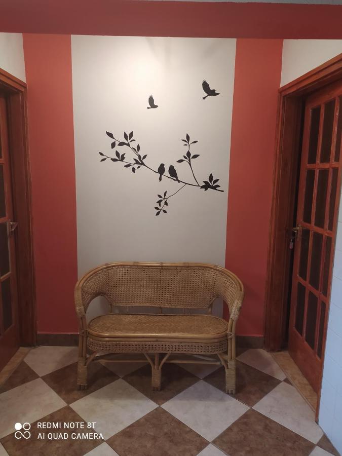 Apartmanhaz Gabriella 哈卡尼 外观 照片